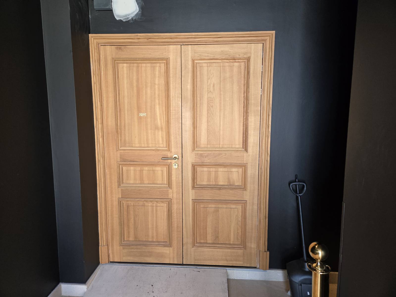 Porte battante avec motorisation DTN80 MANUSA