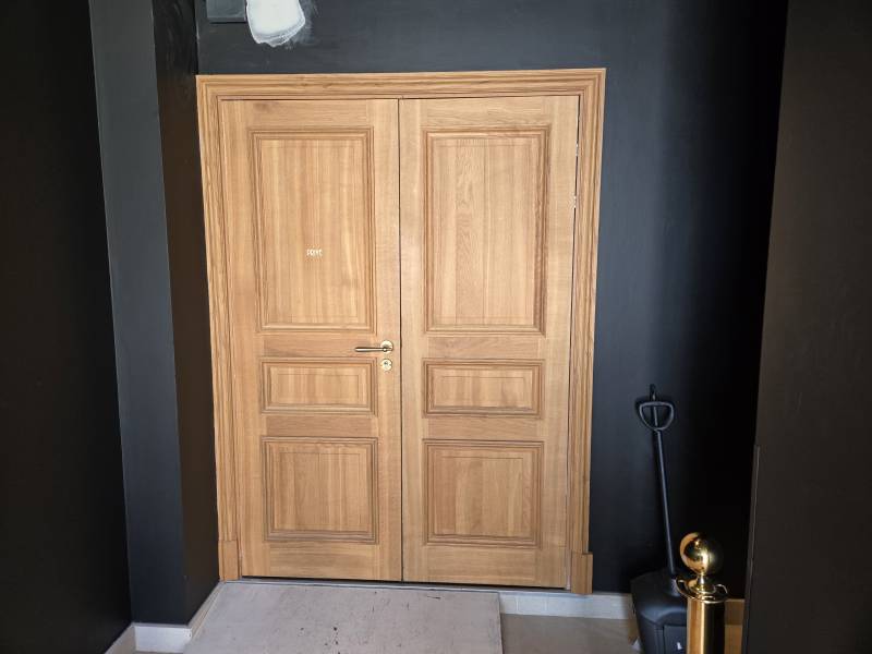 Porte battante avec motorisation DTN80 MANUSA